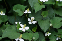 �ǂ�����